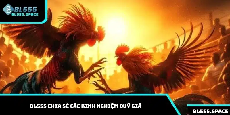 BL555 chia sẻ các kinh nghiệm quý giá