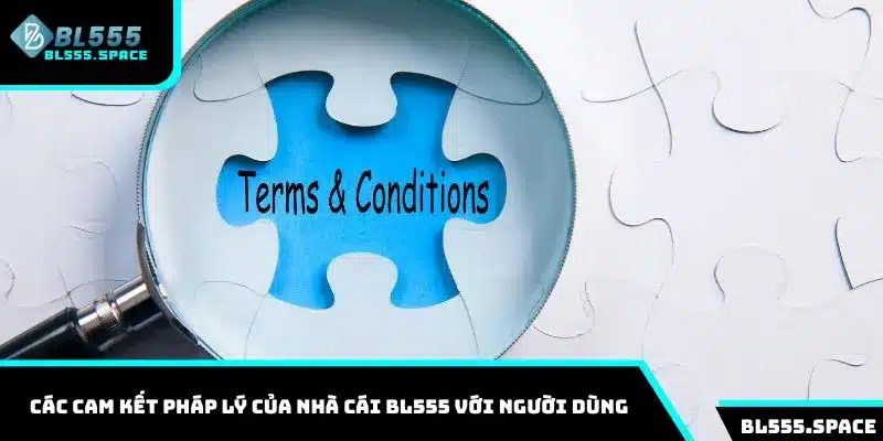 Các cam kết pháp lý của nhà cái BL555 với người dùng