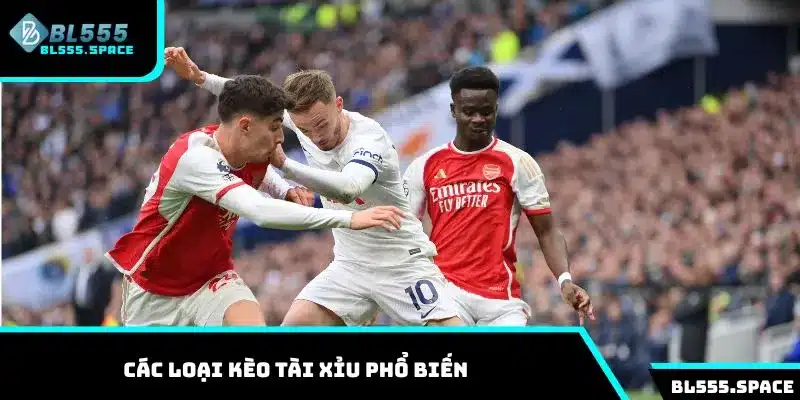 Khám phá các loại kèo Tài Xỉu phổ biến tại BL555