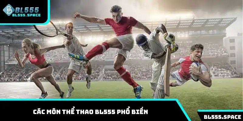 Tổng hợp các môn thể thao phổ biến tại BL555