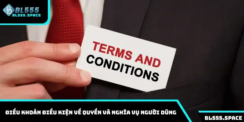 Điều khoản điều kiện về quyền và nghĩa vụ người dùng