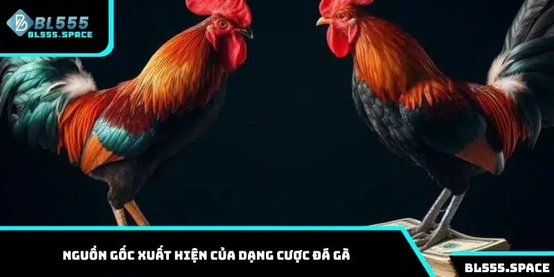 Nguồn gốc xuất hiện của dạng cược đá gà