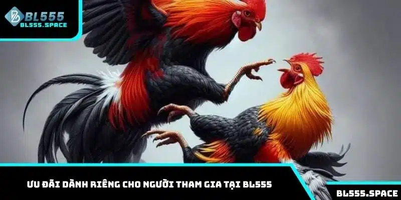 Ưu đãi dành riêng cho người tham gia tại BL555